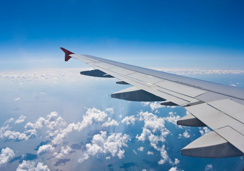 Fly1